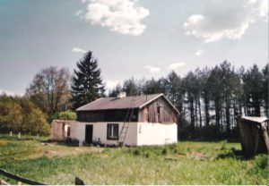 Reste des ehemaligen Birkenhof 2008